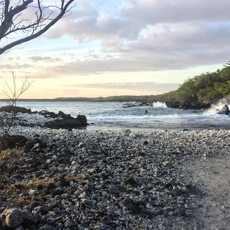 A Very Maui Thanksgiving and Upcoming Reads!