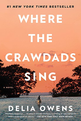 Where the Crawdads Sing: Recap & Summary