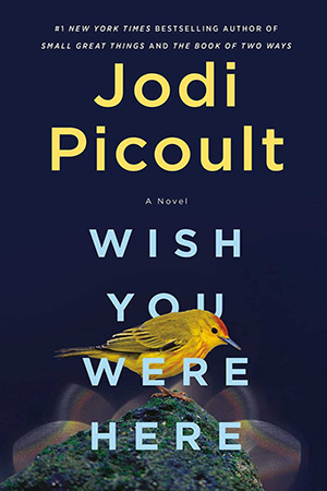 Wish You Were Here: Recap & Chapter-by-Chapter Summary