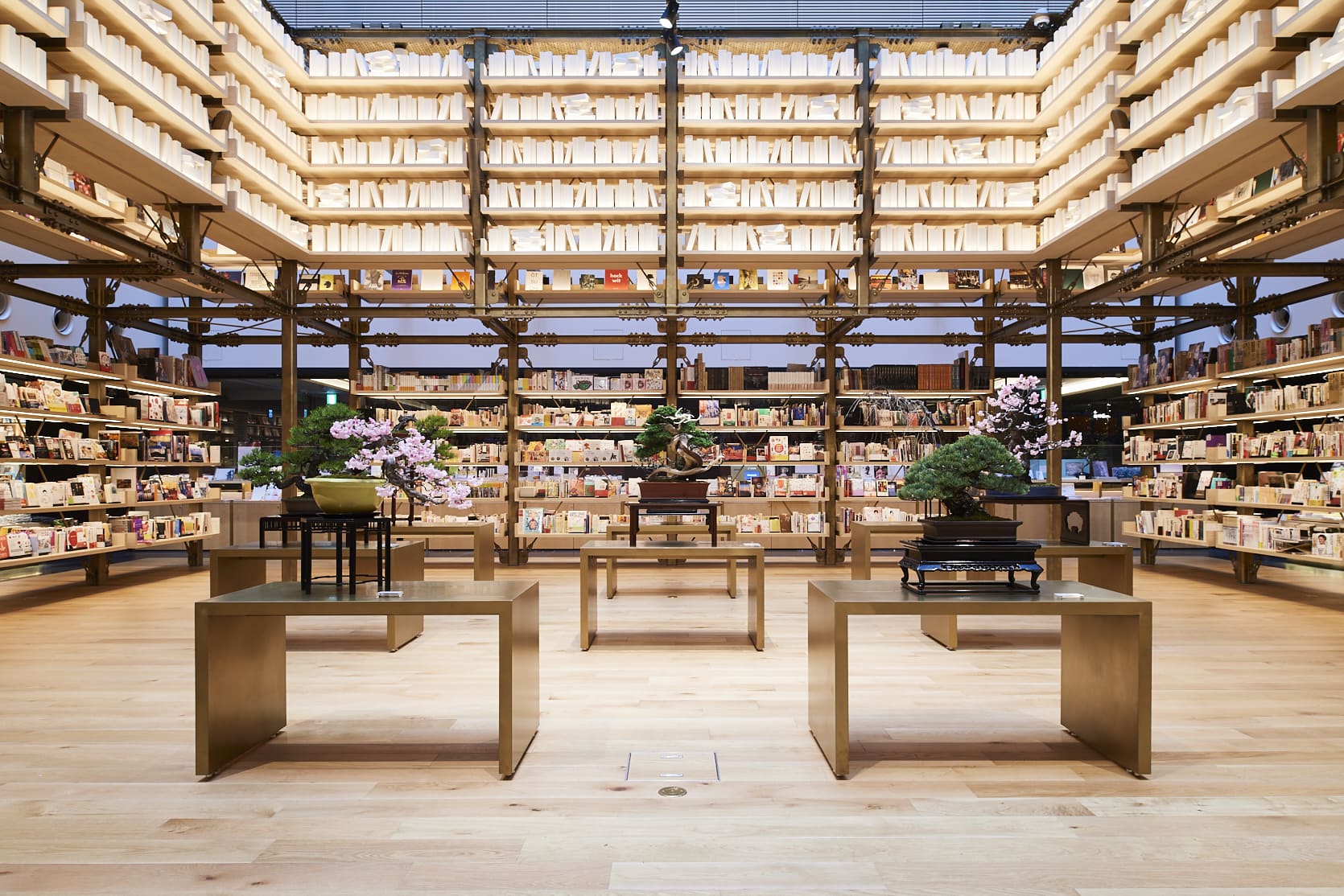 25 Best Bookstores in the World The Bibliofile Travel
