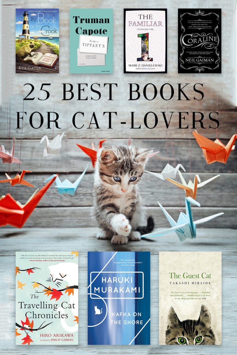 best books for cat lovers books about cats kittens felines literary cats