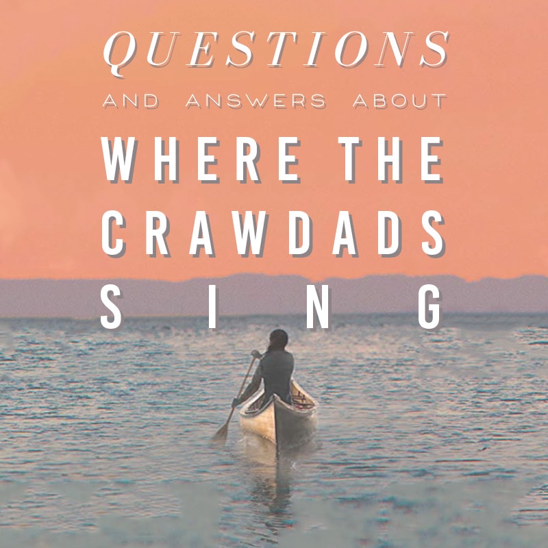 essay questions for where the crawdads sing