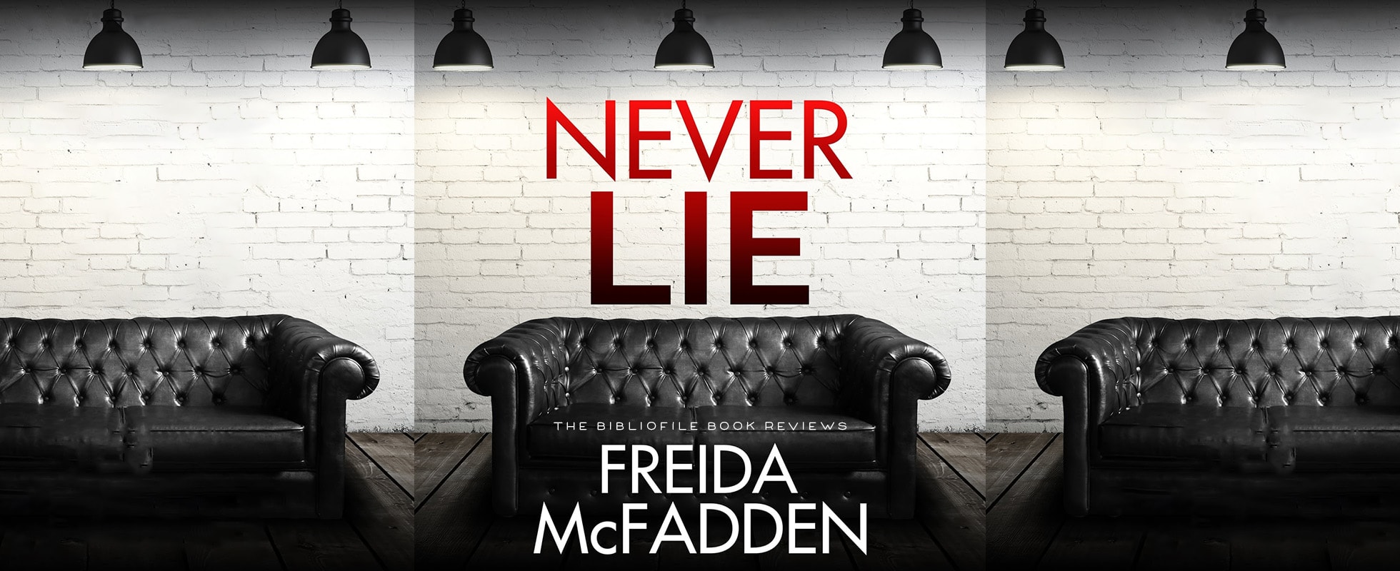 never lie by freida mcfadden book review plot summary synopsis recap discussion spoilers
