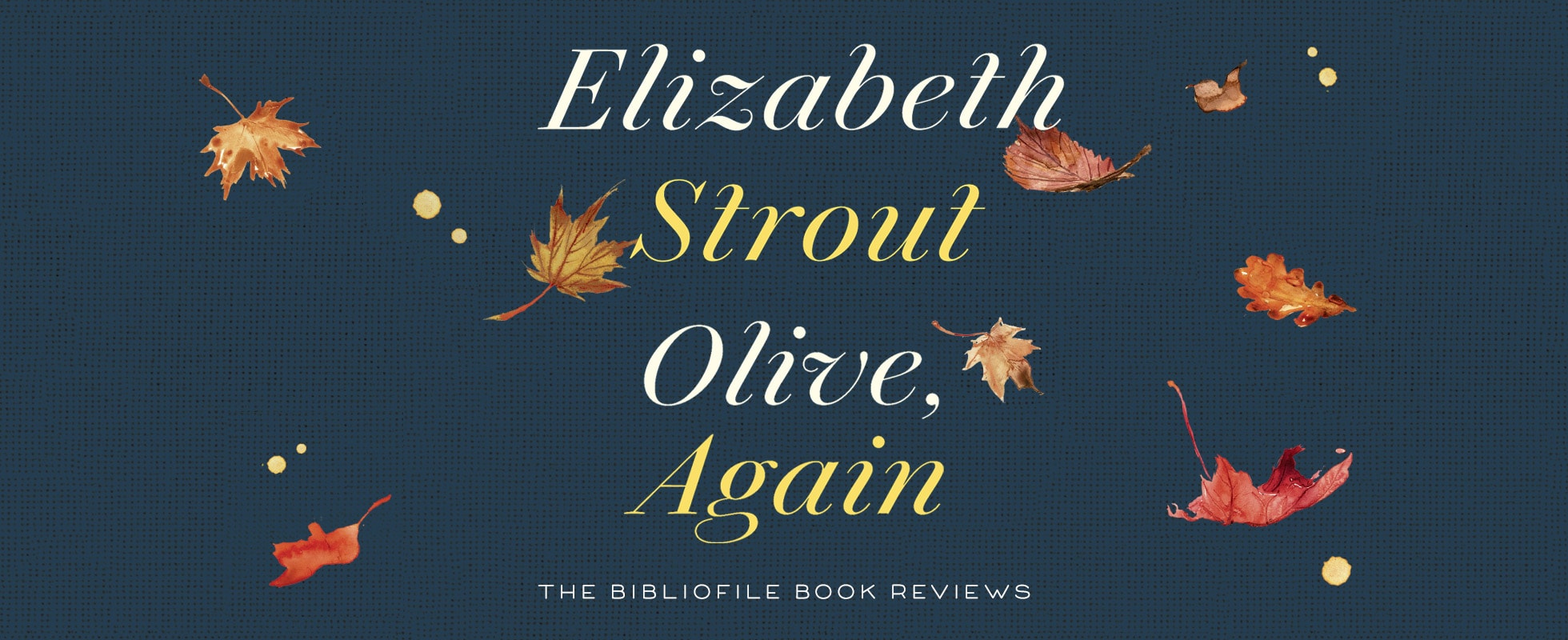 olive again elizabeth strout olive kitteridge book review summary synopsis