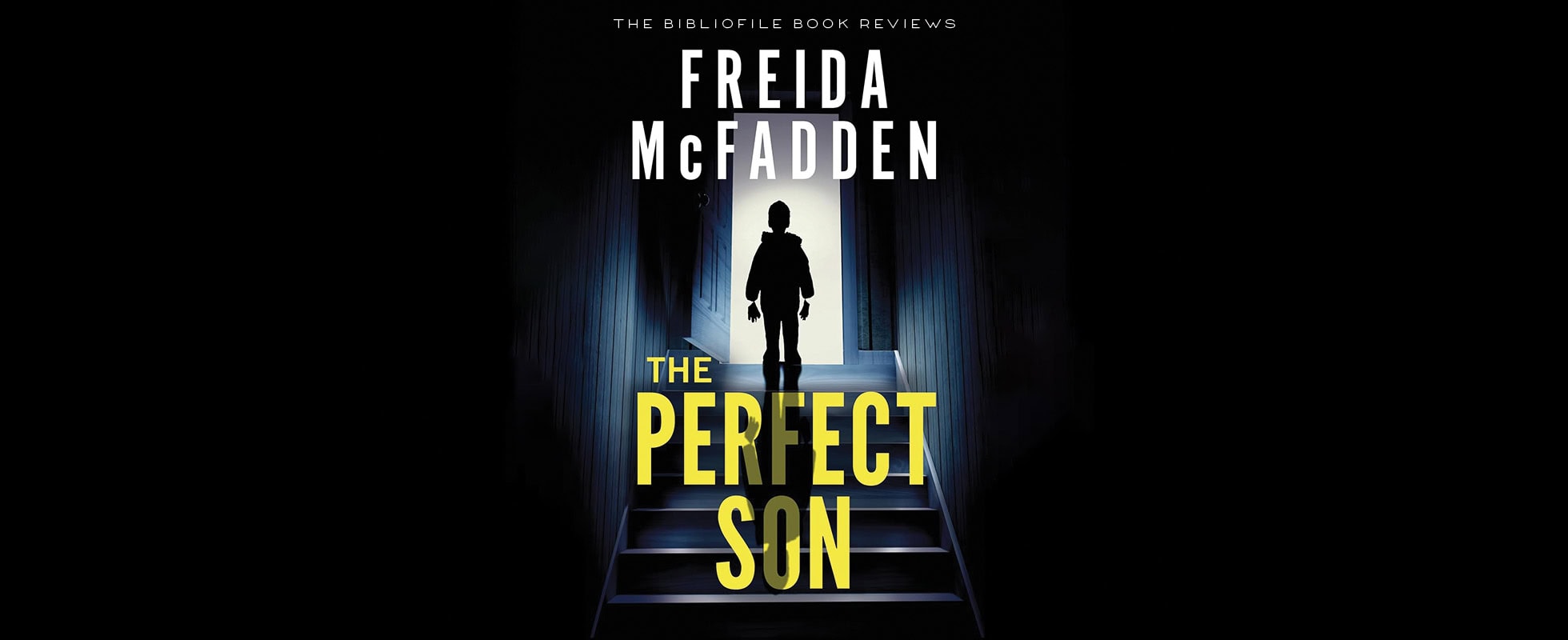 the perfect son by freida mcfadden book review plot summary synopsis recap discussion spoilers endling explanations